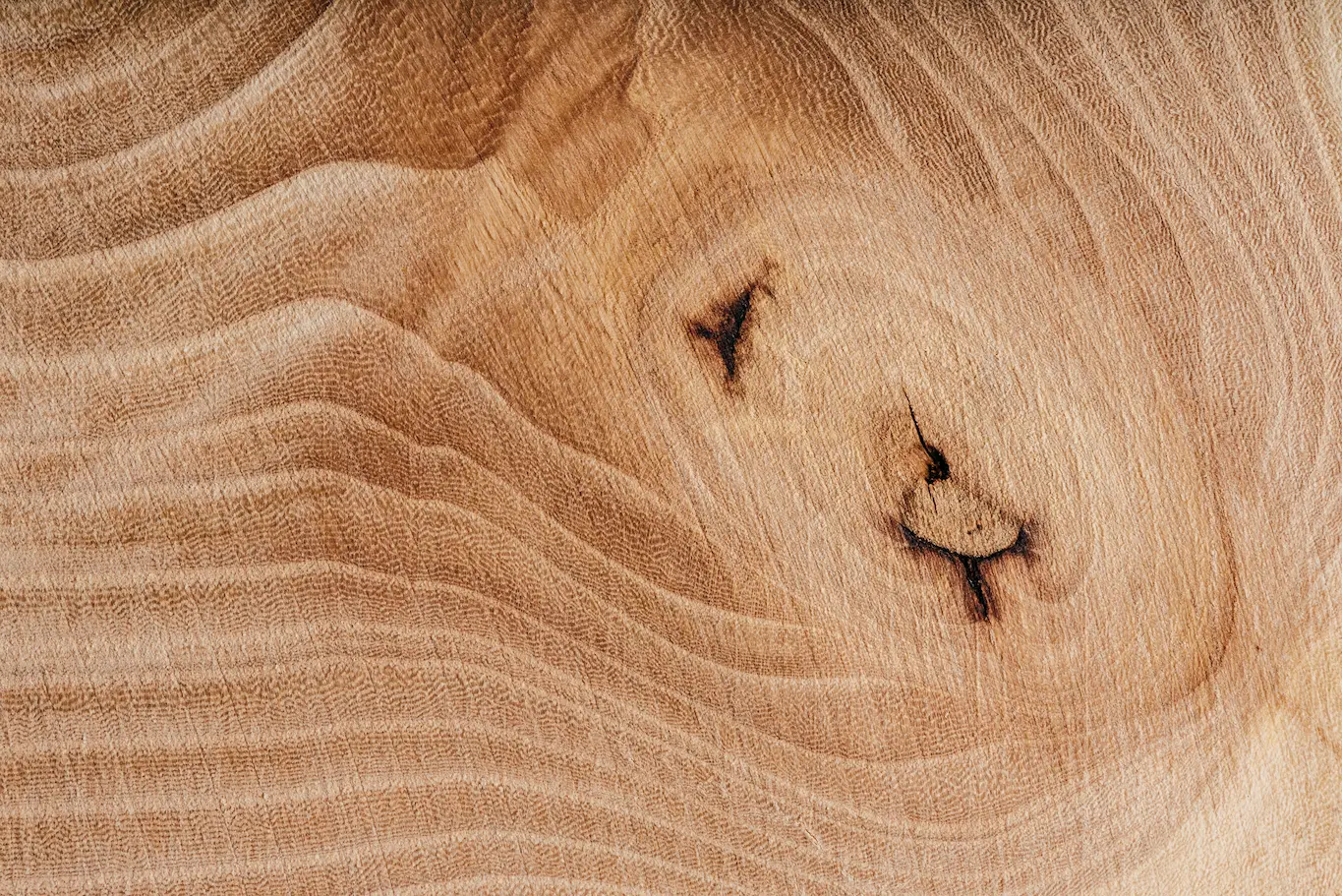 legno-footer